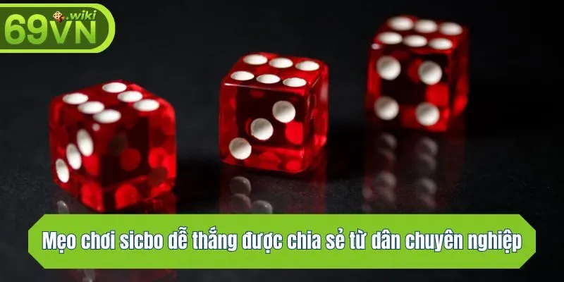 Mẹo chơi sicbo dễ thắng được chia sẻ từ dân chuyên nghiệp