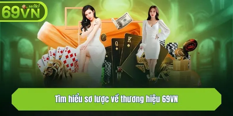 Tìm hiểu sơ lược về thương hiệu 69VN